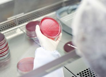Laboratorio en casa